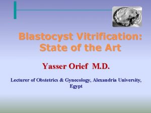 Blastocyst Vitrification State of the Art Yasser Orief