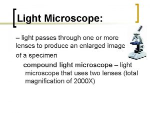 Light Microscope light passes through one or more