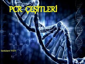 PCR ETLER Serblent YT PCR NEDR PCR DNA