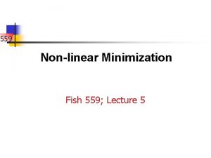 559 Nonlinear Minimization Fish 559 Lecture 5 Introduction