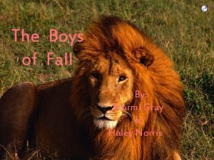The Boys of Fall By Stormi Gray Haley