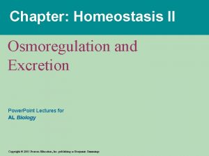 Chapter Homeostasis II Osmoregulation and Excretion Power Point