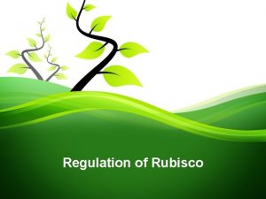 Regulation of Rubisco Introduction Rubisco stand for ribulose