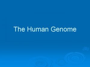 The Human Genome Human Chromosomes Biologists analyze chromosomes