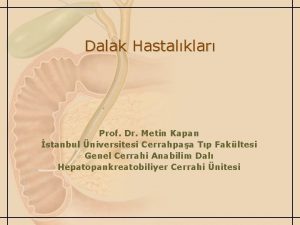 Dalak Hastalklar Prof Dr Metin Kapan stanbul niversitesi