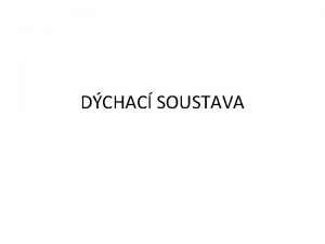 DCHAC SOUSTAVA DCHN Kyslk je pro ivot nezbytn