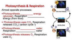Photosynthesis Respiration Almost opposite processes Photosynthesis energy glucose