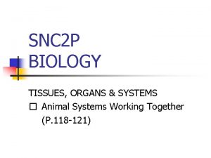 SNC 2 P BIOLOGY TISSUES ORGANS SYSTEMS Animal