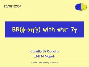 20022004 BRf h g with pp Camilla Di