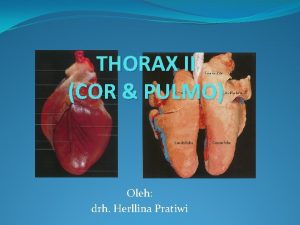 THORAX II COR PULMO Oleh drh Herllina Pratiwi