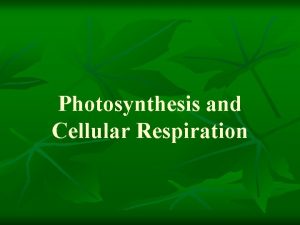 Photosynthesis and Cellular Respiration ATP adenosine triphosphate main