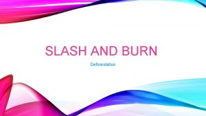 SLASH AND BURN Deforestation WHY IS SLASH AND