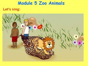 Module 5 Zoo Animals Lets sing Lets guess