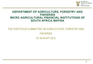 DEPARTMENT OF AGRICULTURE FORESTRY AND FISHERIES MICRO AGRICULTURAL