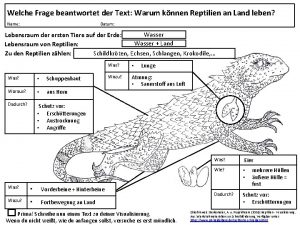 Welche Frage beantwortet der Text Warum knnen Reptilien