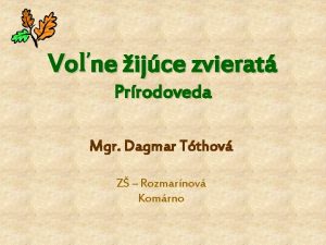 Vone ijce zvierat Prrodoveda Mgr Dagmar Tthov Z