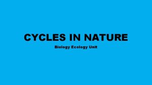 CYCLES IN NATURE Biology Ecology Unit Vocabulary Ecology