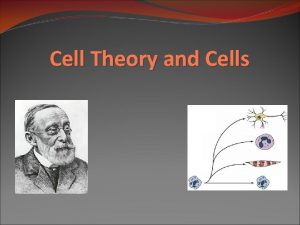 Cell Theory and Cells 1665 Robert Hooke used