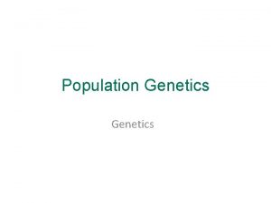 Population Genetics Population genetics the branch of genetics