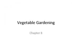 Vegetable Gardening Chapter 8 Classification Vegetables are classified
