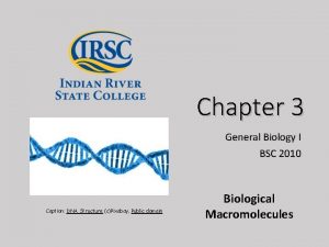Chapter 3 General Biology I BSC 2010 Caption