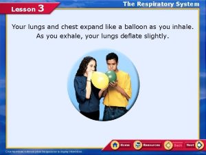 Lesson 3 The Respiratory System Your lungs and