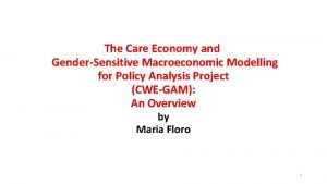 The Care Economy and GenderSensitive Macroeconomic Modelling for