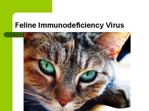 Feline Immunodeficiency Virus Feline Immunodeficiency Virus l Feline