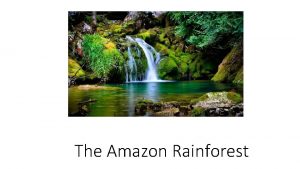 The Amazon Rainforest Location Uses Amazon Rainforest covers