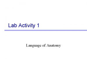 Lab Activity 1 Language of Anatomy Anatomy Gross