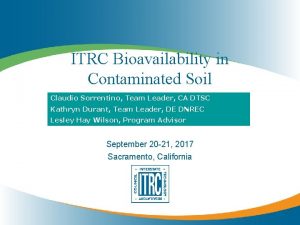 ITRC Bioavailability in Contaminated Soil Claudio Sorrentino Team