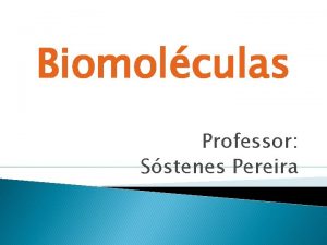 Biomolculas Professor Sstenes Pereira Enzimas Biomolculas Estruturas e