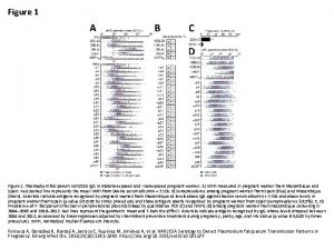 Figure 1 Plasmodium falciparum VAR 2 CSA Ig