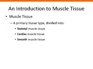 An Introduction to Muscle Tissue Muscle Tissue A