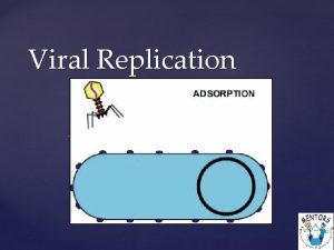 Viral Replication Virus A biological particle composed of