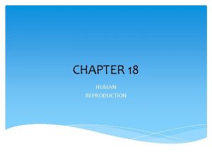 CHAPTER 18 HUMAN REPRODUCTION CHAPTER 18 HUMAN REPRODUCTION