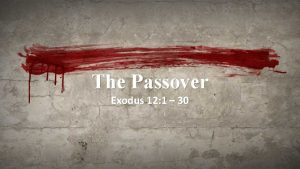The Passover Exodus 12 1 30 The Passover
