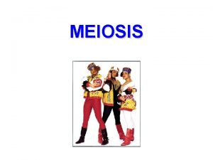 MEIOSIS Examples hair cells liver cells brain cells