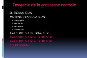 Imagerie de la grossesse normale INTRODUCTION MOYENS DEXPLORATION