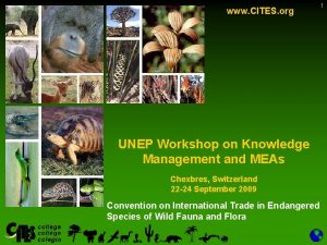 www CITES org UNEP Workshop on Knowledge Management