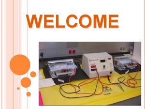 WELCOME ELECTROPHORESIS TECHNIQUES THEORY OF ELECTROPHORESIS INTRODUCTION Electrophoresis