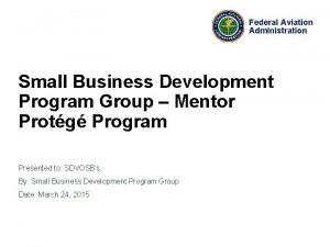 Federal Aviation Administration Small Business Development Program Group