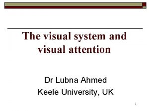The visual system and visual attention Dr Lubna