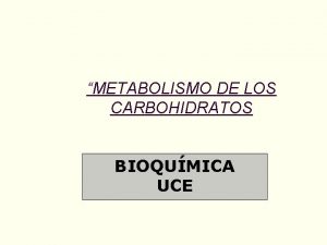 METABOLISMO DE LOS CARBOHIDRATOS BIOQUMICA UCE Cuestionario Que