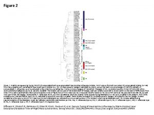 Figure 2 Multilocus sequencing typing MLST of encapsulated