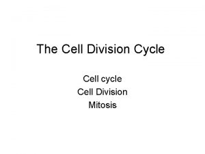 The Cell Division Cycle Cell cycle Cell Division