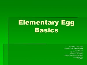 Elementary Egg Basics Created by Connie Page Emanuel