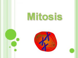 Mitosis Mitosis Qu es la mitosis Qu ocurre