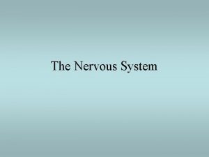 The Nervous System Nervous System Sense organs the