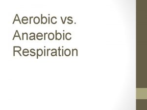 Aerobic vs Anaerobic Respiration Aerobic Energy Conversion Energy